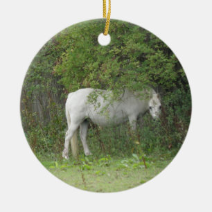 Shy White Horse Ornament