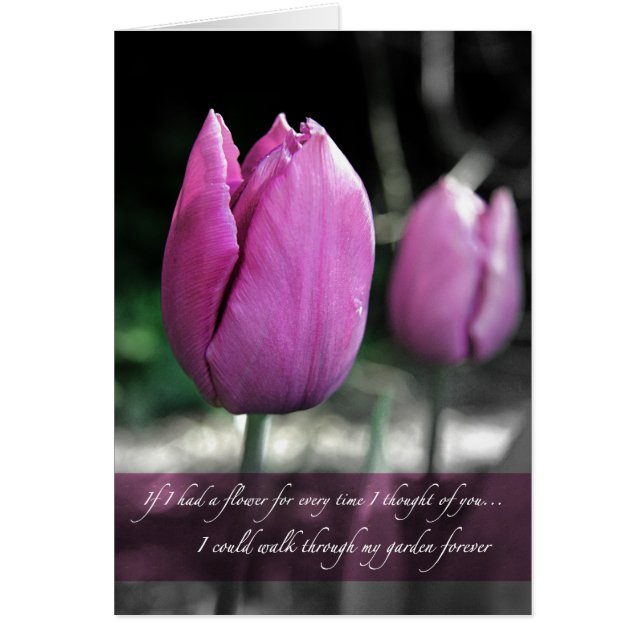 Si j'avais une fleur à chaque fois que j'ai pensé  (Devant)