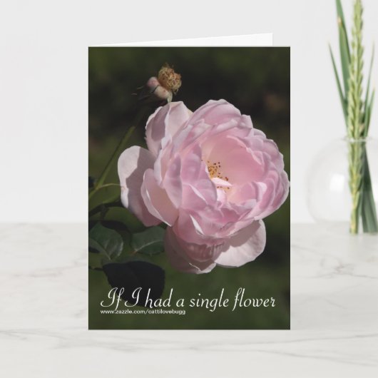 Si j'avais une fleur simple, carte de (Devant)