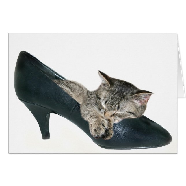 Si la chaussure convient (Devant horizontal)