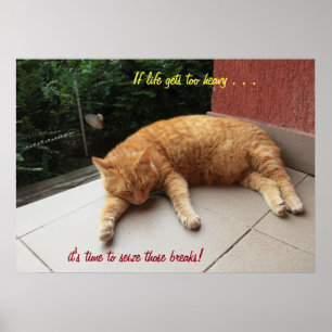 Si la vie devient trop lourde Chat (2) Poster