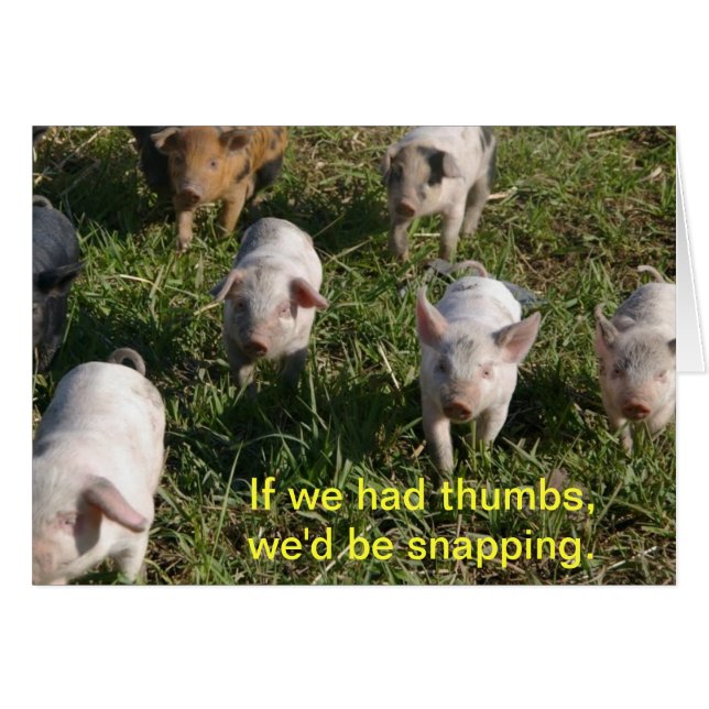 Si Nous Avions Des Pouces (Devant Horizontal)