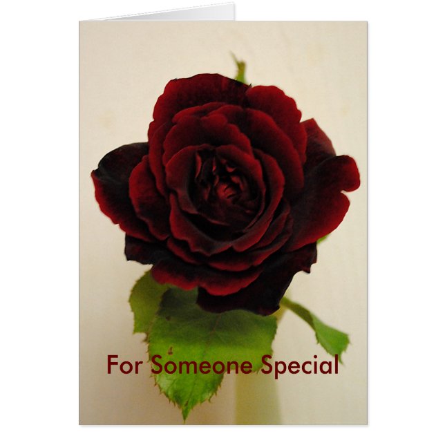 Si Rouge Le Rose (Devant)