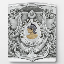 SI VIS PACEM PARA BELLUM FOTOPLAAT