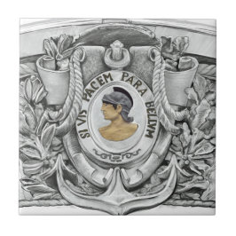 SI VIS PACEM PARA BELLUM TEGELTJE