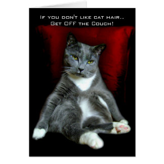 Si vous n'aimez pas les cheveux de chat.. Sors du