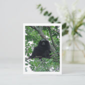 Siam Gibbon Briefkaart (Staand voorkant)