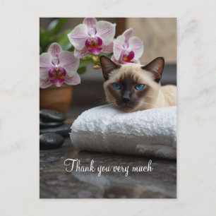 Siamees kat in Spa Bedankt  Briefkaart
