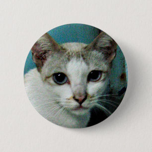 Siamees Kat Vriend Ronde Button 5,7 Cm