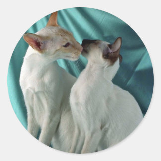 Siamees, rood punt & afdichtingspunt ronde sticker