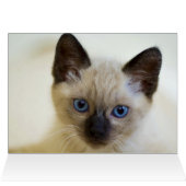 SIAMESE (Binnen Horizontaal (Boven))