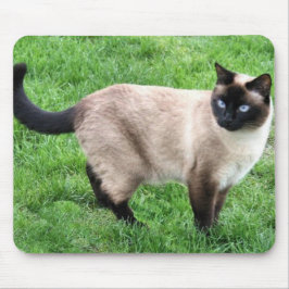 SIAMESE BEAUTY MUISMAT