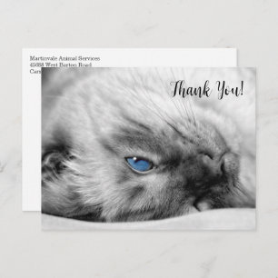Siamese Blue Eyed Cat Hartelijk dank Briefkaart