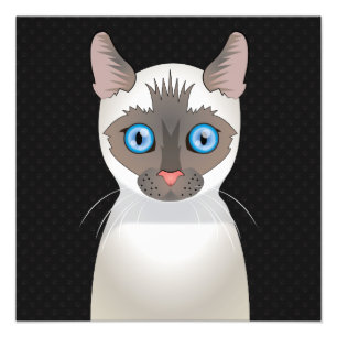 Siamese Cartoon Paws Foto Afdruk