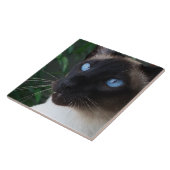 Siamese Cat Blue Eyes Tegeltje (Zijkant)