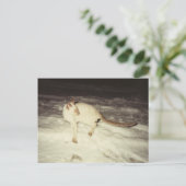 Siamese Cat Briefkaart (Staand voorkant)