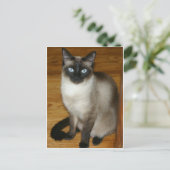 Siamese Cat Briefkaart (Staand voorkant)