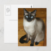 Siamese Cat Briefkaart (Voorkant / Achterkant)