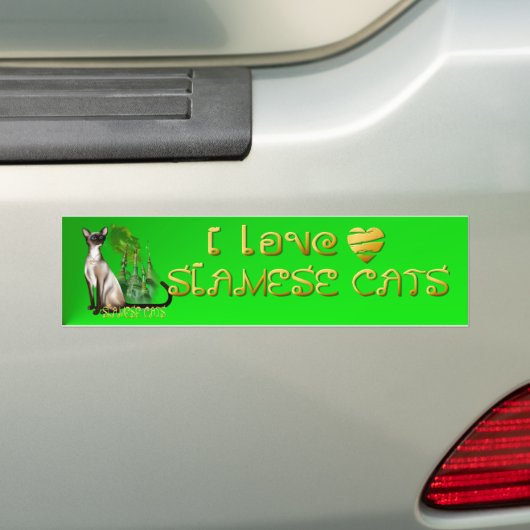 Siamese Cat Bumpersticker (Op auto)