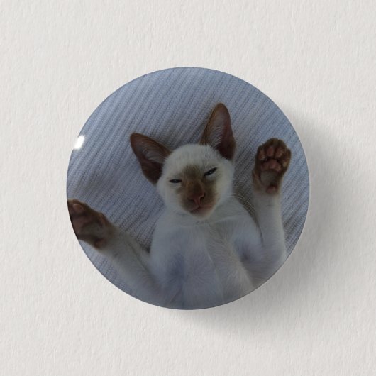 Siamese cat button (Voorkant)