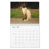 Siamese Cat Calendar Kalender (Mar 2026)