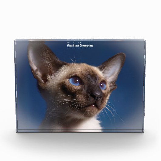 Siamese Cat Fotoblokken (Voorkant)