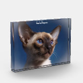 Siamese Cat Fotoblokken (Links)