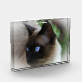 Siamese Cat Fotoblokken (Links)