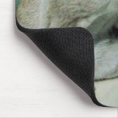 Siamese Cat Friend Muismat (Hoek)