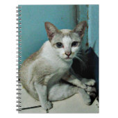 Siamese Cat Friend Notitieboek (Voorkant)