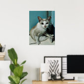 Siamese Cat Friend Poster (Thuiskantoor)