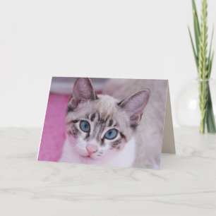 SIAMESE CAT KITTEN BIRTHDAY-Wenskaart Kaart