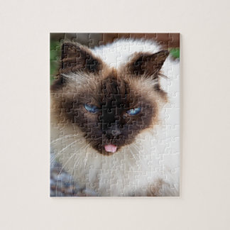 Siamese cat legpuzzel