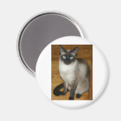 Siamese Cat Magneet (Voorkant / Achterkant)