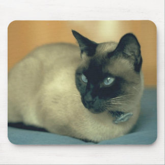 Siamese Cat Mousepad Muismat