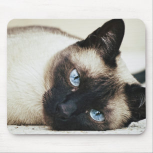 Siamese Cat Muismat