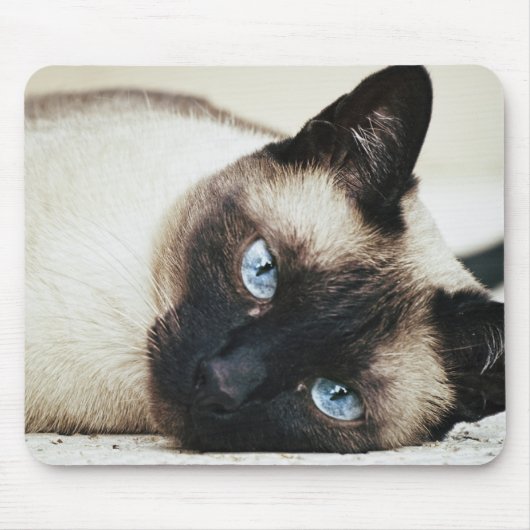 Siamese Cat Muismat (Voorkant)