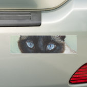 Siamese Cat Murphy Bumpersticker (Op auto)