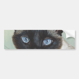 Siamese Cat Murphy Bumpersticker