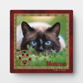 Siamese Cat Pet Memorial Foto Fotoplaat (Voorkant)