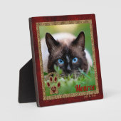Siamese Cat Pet Memorial Foto Fotoplaat (Voorkant)