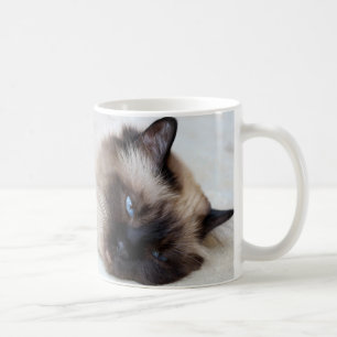 Siamese Cat Pet Mok Coffee Mok Cup