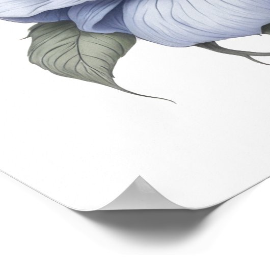 Siamese Cat Poster (Hoek)