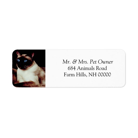 Siamese Cat Return Address Stickers Labels (Voorkant)
