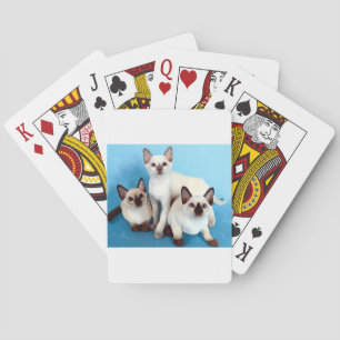 Siamese Cats Pokerkaarten