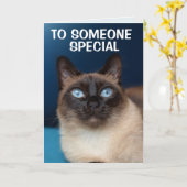 SIAMESE CHAT QUELQU'UN CARTE D'ANNIVERSAIRE SPÉCIA (Fleur jaune)