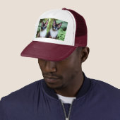 Siamese Chat Twins, Casquette de camions (En situation)