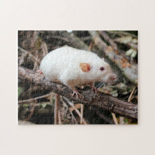 Siamese Dumbo Pet Rat in de bossen Legpuzzel