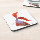 Siamese gevechtsvis (Betta splendens) Drankjes Onderzetter (Linkerzijde)