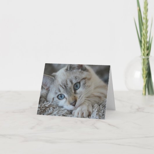 Siamese het Punt van Linx Kaart (Voorkant)